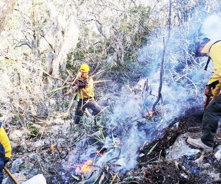 Solicitan a Semarnat informe sobre acciones para combatir incendios