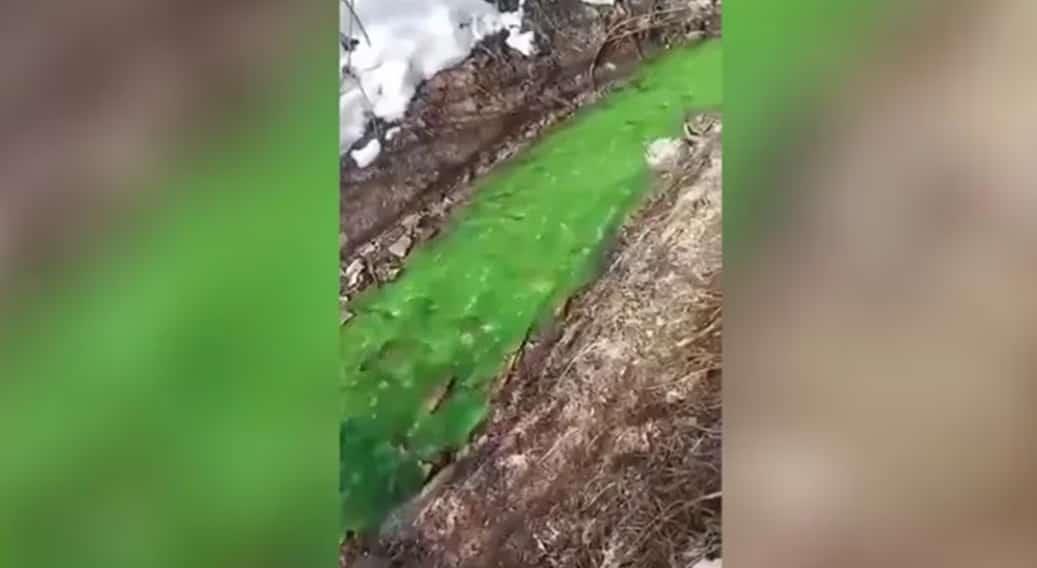 Río se tiñe de color verde brillante en Rusia