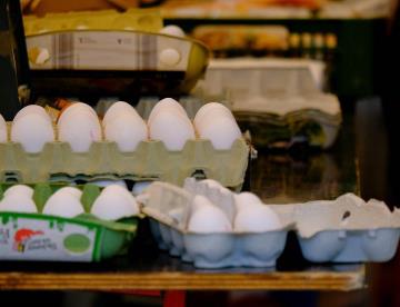 Productores venden huevo 30% más barato, consumidores pagan 50 pesos