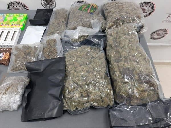 Más de 16 mil pastillas de fentanilo, así dos kilos de marihuana, aseguró la Fiscalía General de la República (FGR) en un negocio de paquetería en el municipio de Santa Catarina.