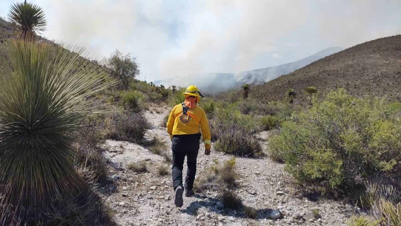 Elementos de Protección Civil del Estado, intentan sofocar un incendio forestal ubicado en el municipio de Dr. Arroyo, que se inició en el vecino estado de San Luis Potosí.
