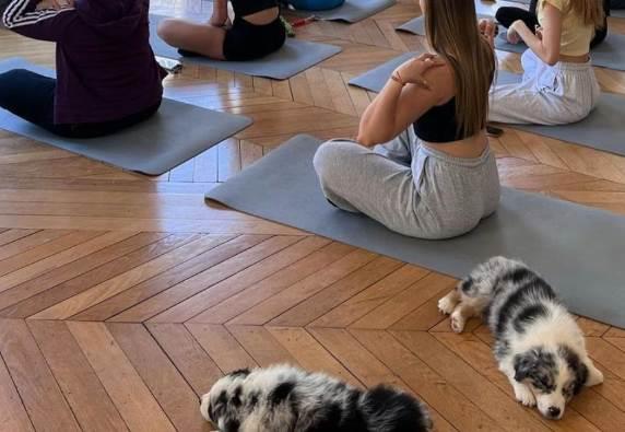 Italia prohíbe yoga con perros tras presunto maltrato animal