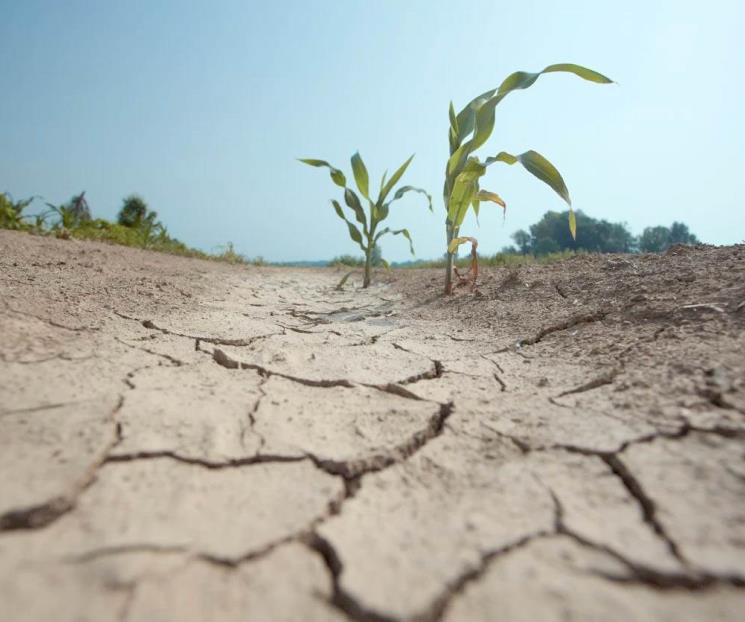 Empiezan municipios a padecer estragos de sequía