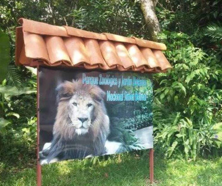 Siete animales mueren tras cierre de zoológicos en Costa Rica