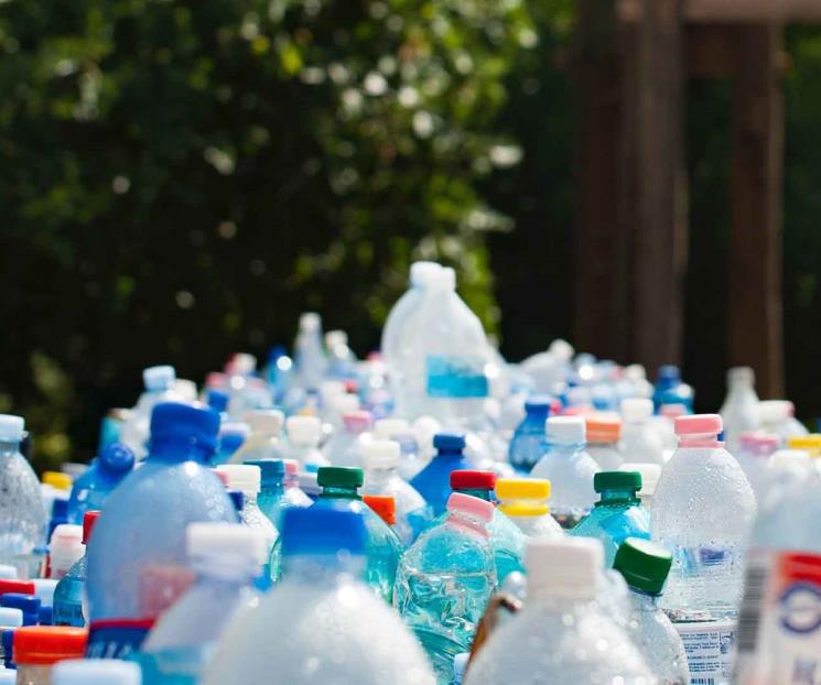 Insta experta de FCQ a reciclar residuos plásticos
