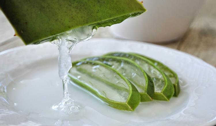 ¿Cómo tomar aloe vera para cuidar el aparato circulatorio?