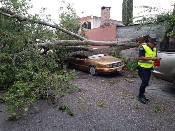 Las lluvias torrenciales acompañadas de tormentas eléctricas y granizo, pegaron fuerte en la región citrícola, dejando miles de daños en viviendas y vehículos.