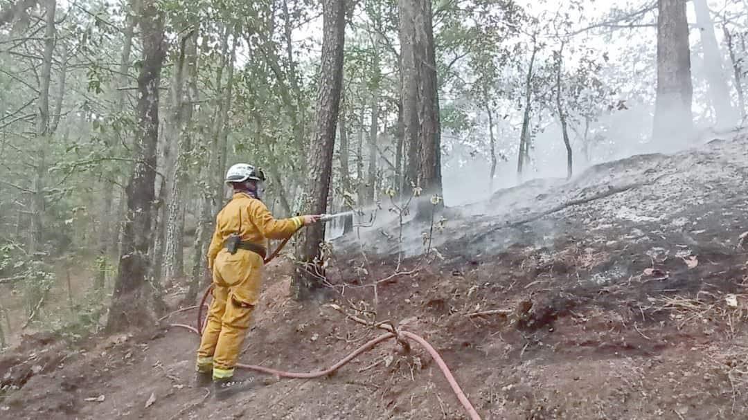 Logran extinguir incendio en sierra de Santiago