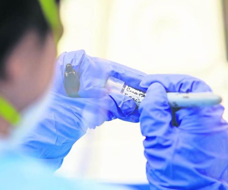 No existen riesgos de contagio por H5N2: Ssa