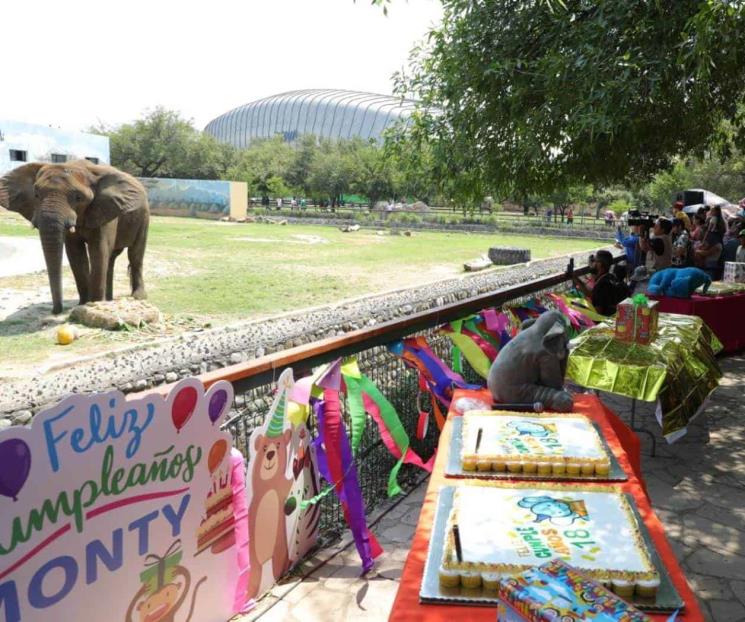 Celebran regios los 18 años de elefante Monty en La Pastora