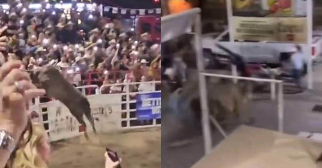 Toro salta valla y lesiona a tres personas en un rodeo de Oregón