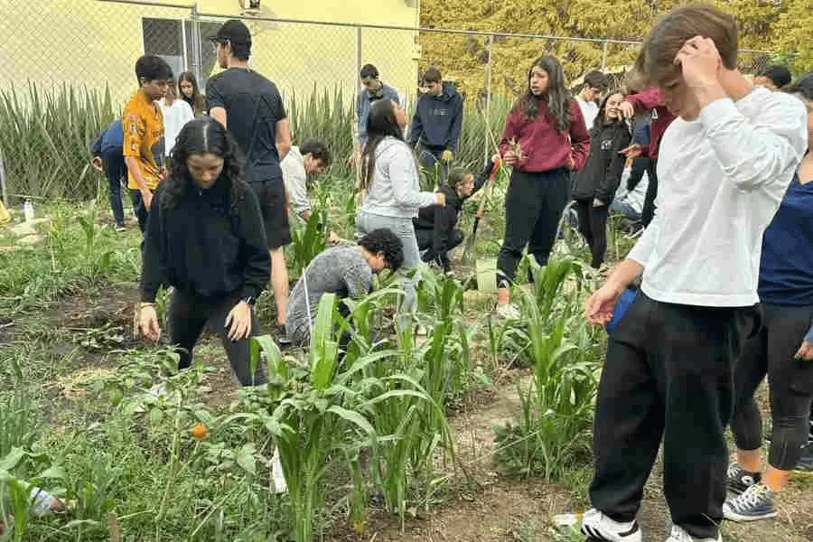 Estudiantes de PrepaTec en pro del cultivo ancestral