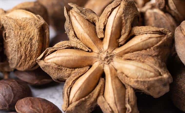 La semilla de los incas aporta muchos beneficios para tu salud