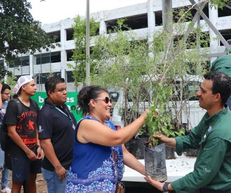 Se suman a Bosques Ciudadanos adoptando un árbol
