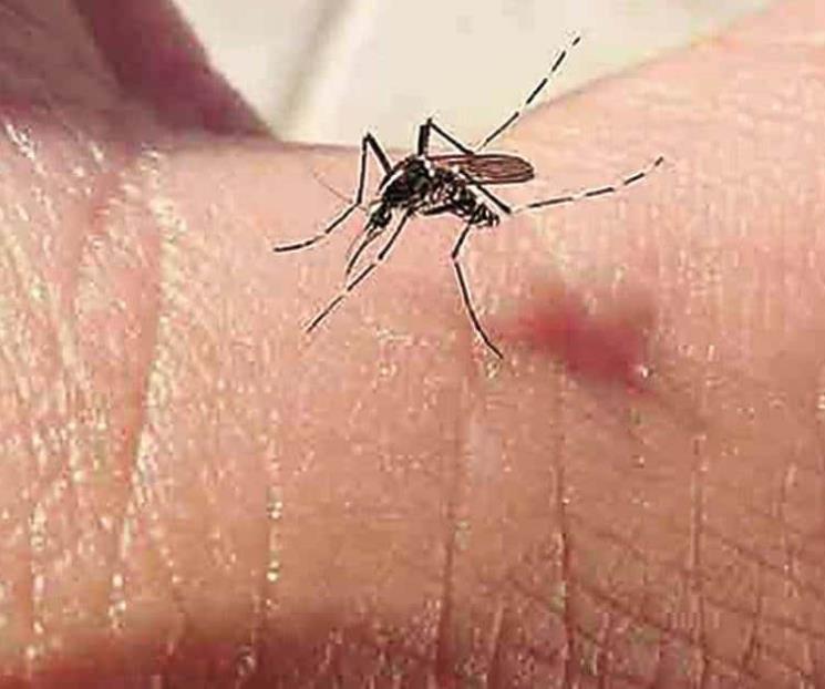 Aumenta 448% el dengue en los últimos 5 años