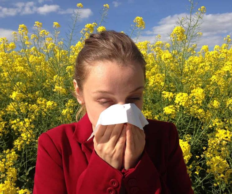 ¿Cuáles son las temporadas de alergias estacionales en México?
