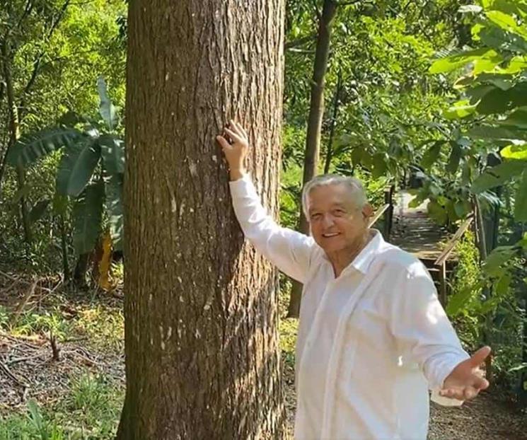 AMLO revela de qué vivirá en su quinta de Palenque, tras su retiro