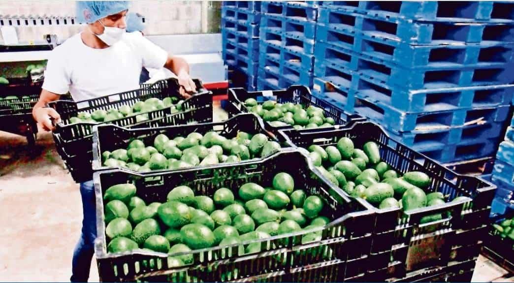 Las verduras que más han subido de precio por la inflación