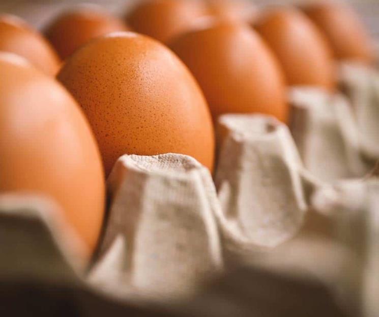 El huevo de gallina rico en Omega-3 crucial para el sistema nervioso