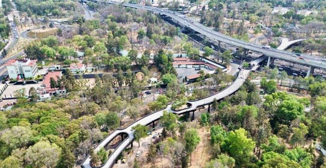 Celebran en mañanera de AMLO avance de Proyecto Cultural Chapultepec