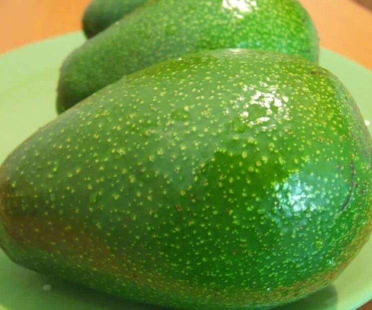 Las contraindicaciones de consumir aguacate todos los días