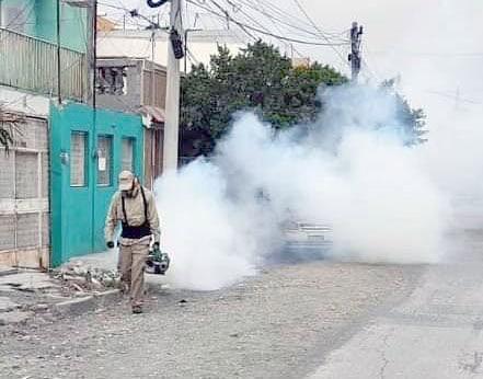 Suben un 50% casos de dengue en una semana; lidera Guadalupe ZM