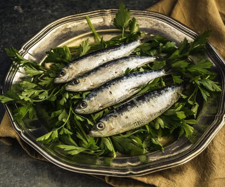 Las sardinas tratan las deficiencias nutricionales como la anemia