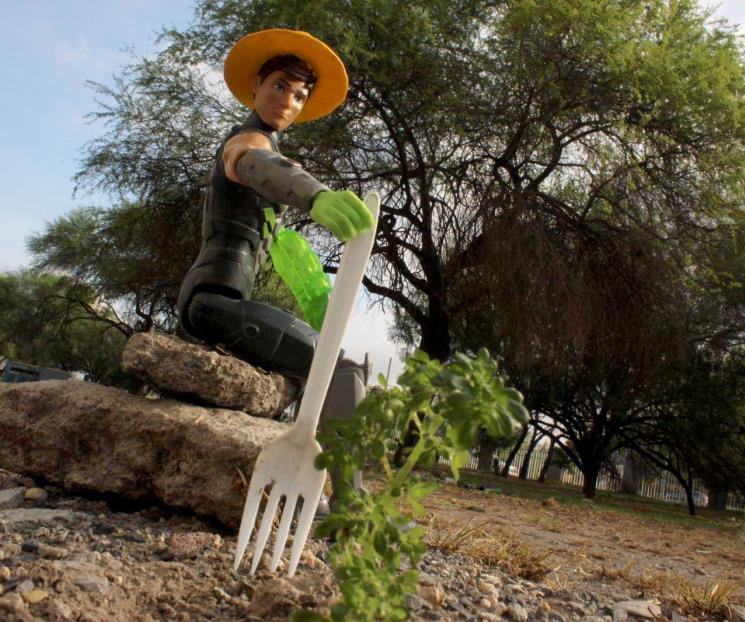 Invita UANL a su Décimo concurso de fotografía sustentable