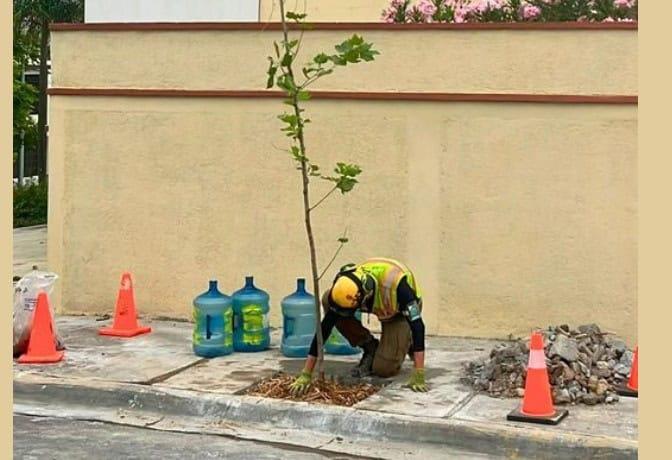 Promueven acolchado de parques y plazas públicas