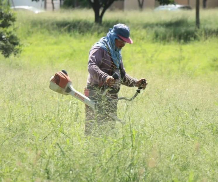 Apresuran el paso para retirar la maleza