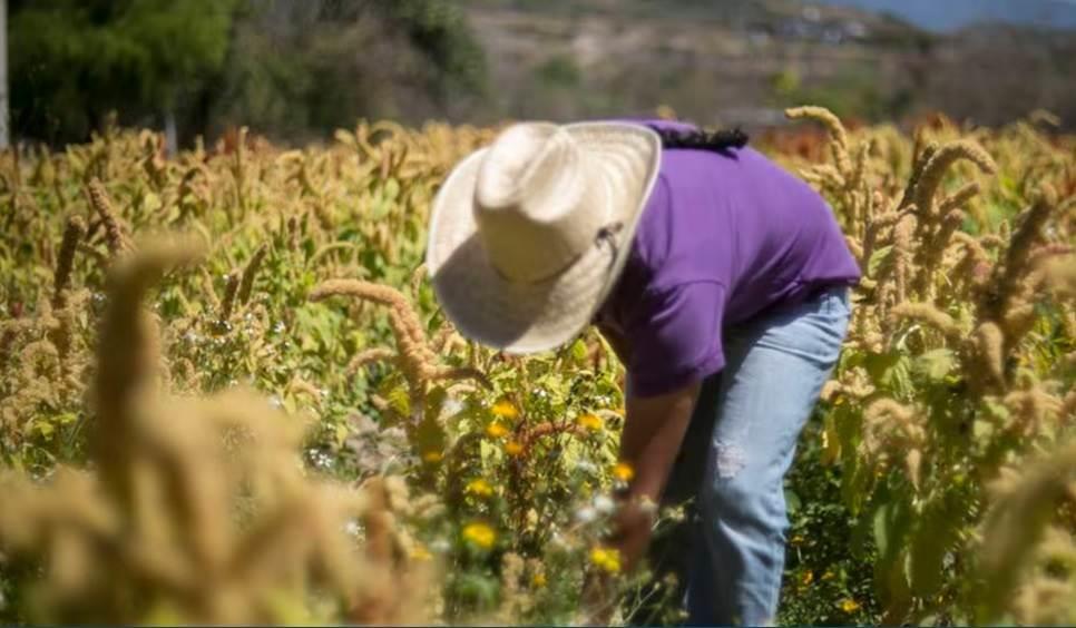 Inseguridad, bomba de tiempo para comercio México-Estados Unidos