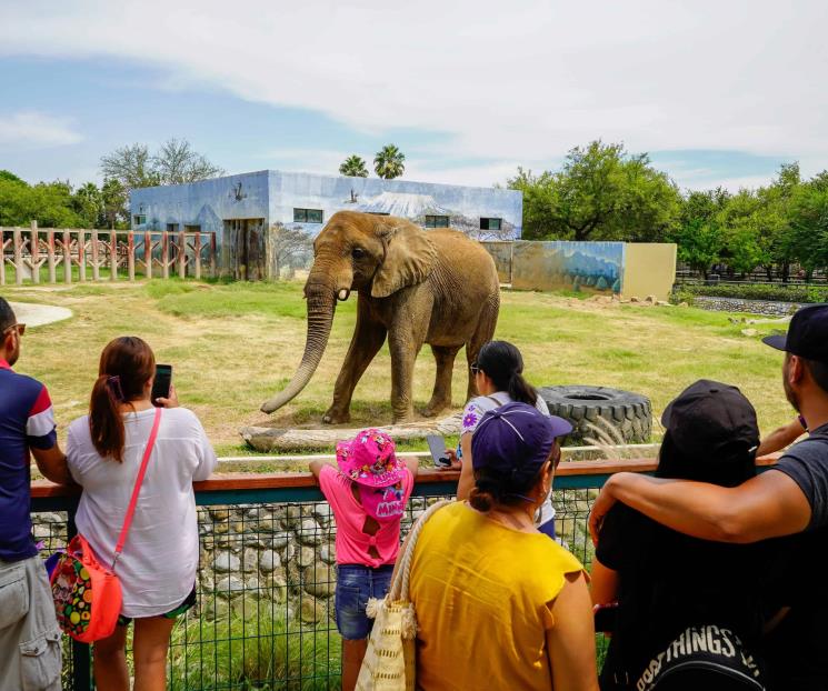 Celebran en La Pastora con ´Monty´ el Día Mundial del Elefante