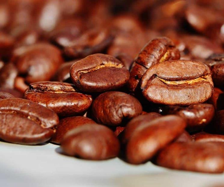 Conoce el verdadero origen del café