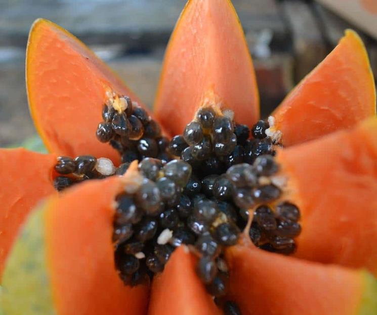 La semilla de papaya mata la salmonella y otras infecciones