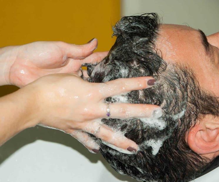 Cuáles son los beneficios de agregar sábila al shampoo