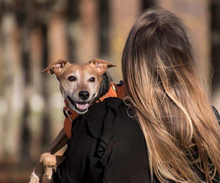 Mujeres pueden disminuir la ansiedad apegándose a un perro: Harvard