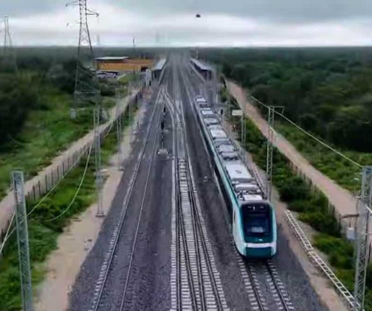 Reportaje alemán critica el Tren Maya por contaminación