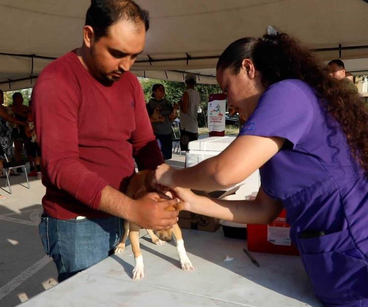 Refuerza Escobedo operativos de vacunación de gatos y perros