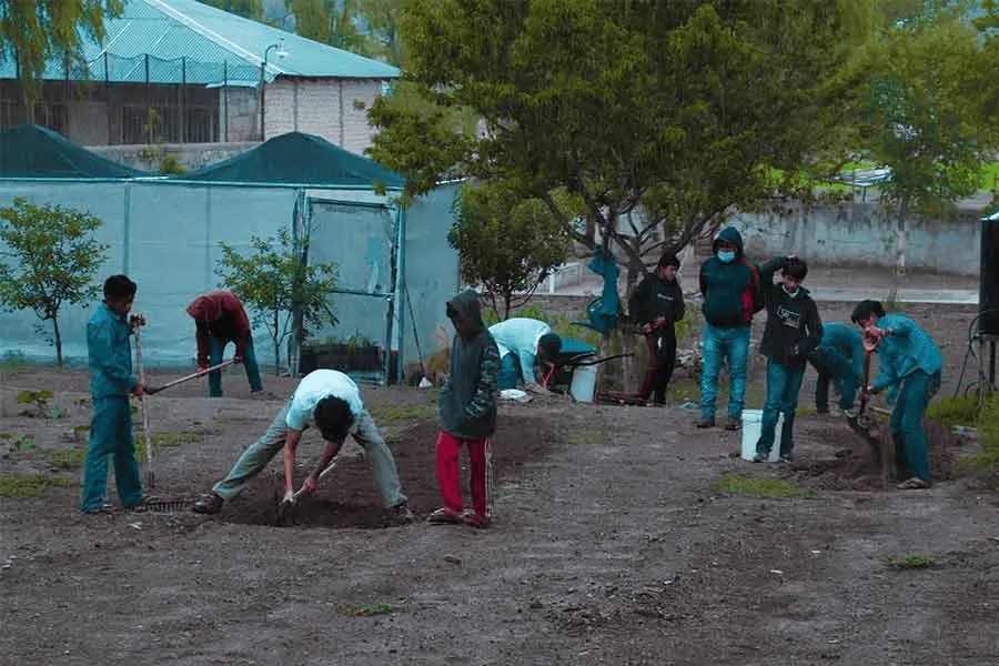 Estudiantes del Tec transforman la Sierra Tarahumara con Nirata