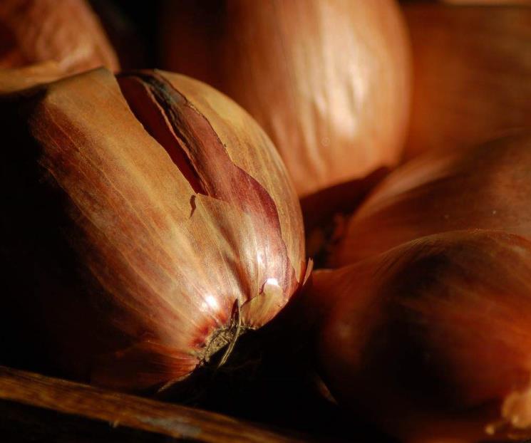 El echalotte fortalece huesos, produce energía y ayuda a coagulación