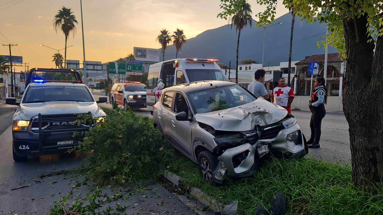 El conductor un vehículo resultó lesionado luego de estrellarse contra un árbol tras subirse al camellón central, ayer en la Avenida Alfonso Reyes, Colonia Altavista, al sur de Monterrey.