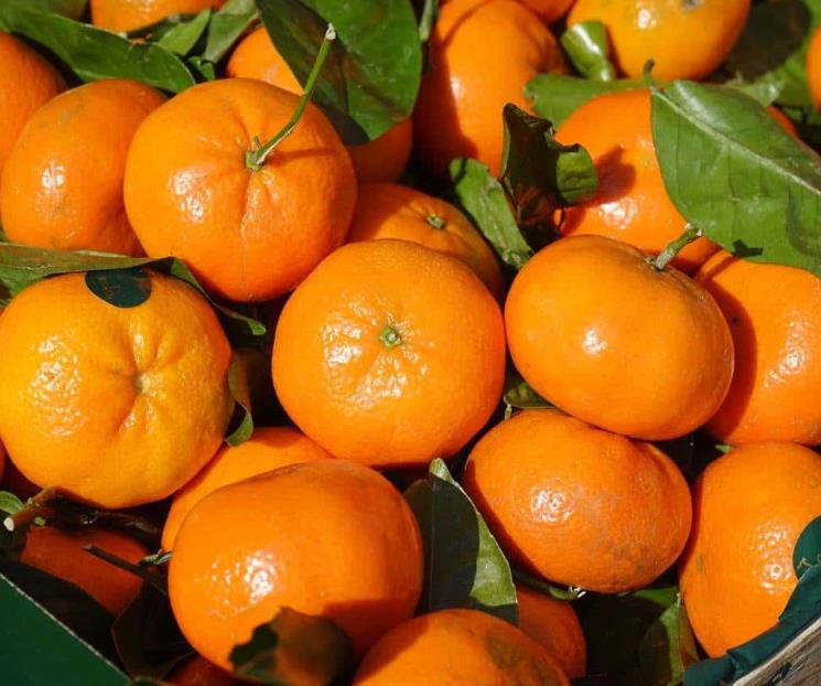 La fruta de temporada repleta de vitamina C que previene diabetes