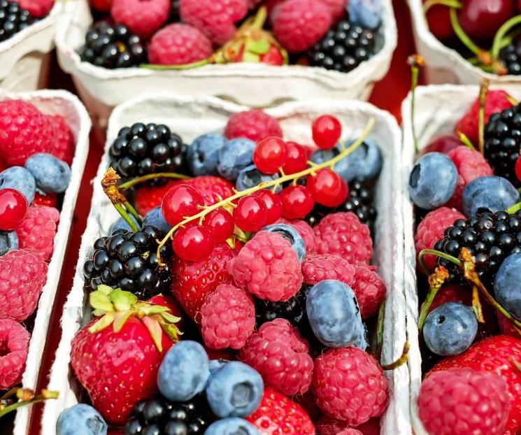 Nutrientes que fortalecen los huesos en el envejecimiento