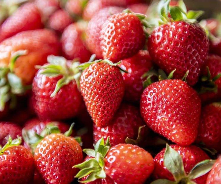 Las fresas ayudan a reducir los niveles de colesterol y triglicérido