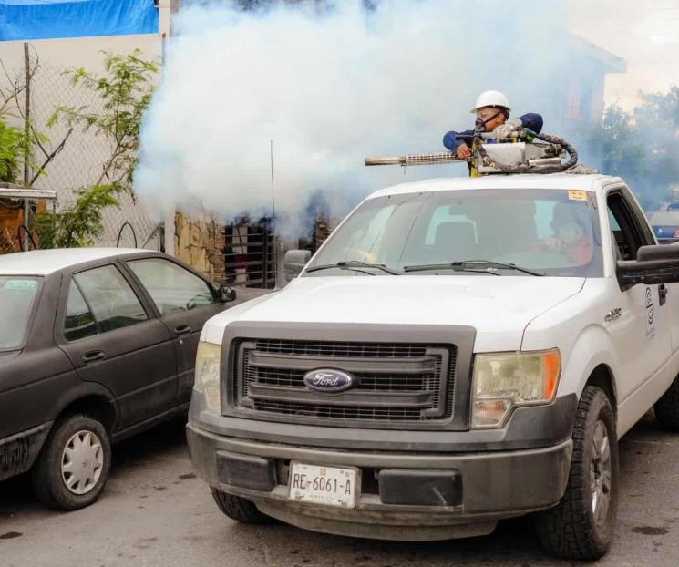 Bajan casos de dengue en Santa Catarina